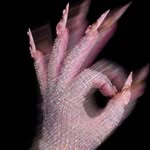 alannahfiss profile picture