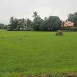 alappuzhakaran.7 profile picture
