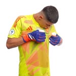 alberc13 profile picture