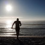 alberto_vaccarino profile picture