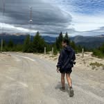 alcii_pereira profile picture