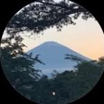 aldnstkno profile picture