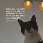 aleatoriasdamili profile picture
