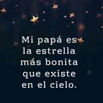 alechinchillarosal profile picture
