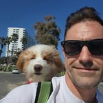 alecofalltrades profile picture