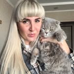 alenasivchuk profile picture