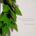 alessandra.leo.146 profile picture