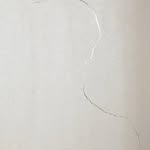 alessandra_baracco profile picture