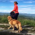 alessandra_zorzan profile picture