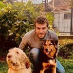 alessandrosarcinelli profile picture