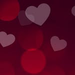 alex_2547892 profile picture