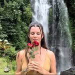 alexaarcilesi profile picture