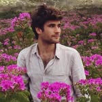 alexander.hoyle profile picture