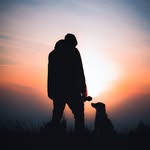 alexander_felber profile picture