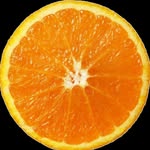 alexander_spiel profile picture