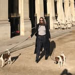 alexandra_deangelis profile picture