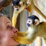 alexandrajaeggi profile picture