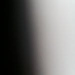 alexandrehoyos profile picture
