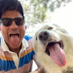 alexb718 profile picture