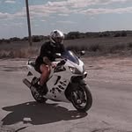 alexey_vektor profile picture