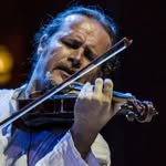 alexislefevreviolin profile picture