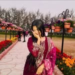 alf1shakhan profile picture