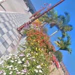 alfiy_a9831 profile picture