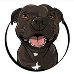 alfons_the_staffy profile picture