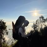 alfthrsydn profile picture