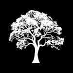 algarobafilmes profile picture