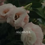 algoazulproducciones profile picture