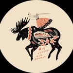 algvos_sub profile picture