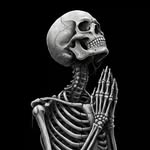 ali791597 profile picture