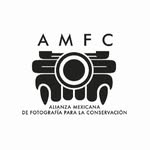 alianzaamfc profile picture