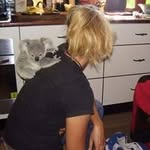 alibee3184 profile picture