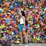 aliceword88 profile picture