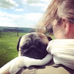 aliciajhealey profile picture