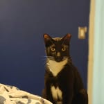 alidiaz15 profile picture