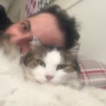 alielmaci profile picture