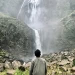 alif_fajri1 profile picture