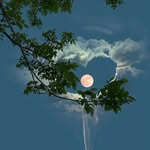 alifilms_ profile picture