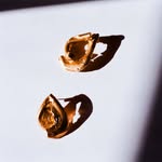 alighieri_jewellery profile picture