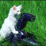 aliihsanozturk.65 profile picture