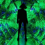 alinafatieieva profile picture