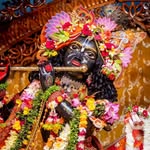 alisha.mishra745 profile picture