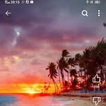 alisha986943 profile picture