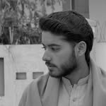 ali_shah.1272 profile picture