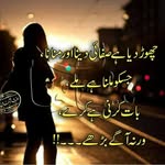 alishah647 profile picture