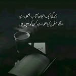 alishahqureshi1 profile picture