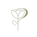 alishbahstudio profile picture